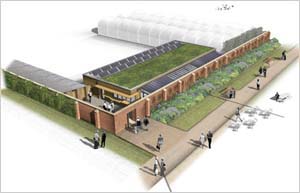 image_of_bute_park_education_centre