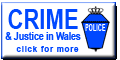 theme page link button button-theme-crime