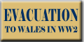 button-theme-evac