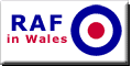 button-theme-raf-hub