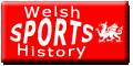 button-theme-sports-hub