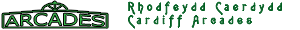 Cardiff Arcades Tour Label