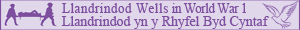 POWYS WAR MEMORIAL PROJECT  Tour Label