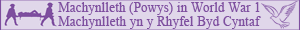 POWYS WAR MEMORIAL PROJECT  Tour Label