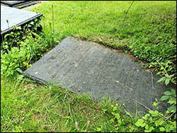Photo of grave of Mary and William Thomas
