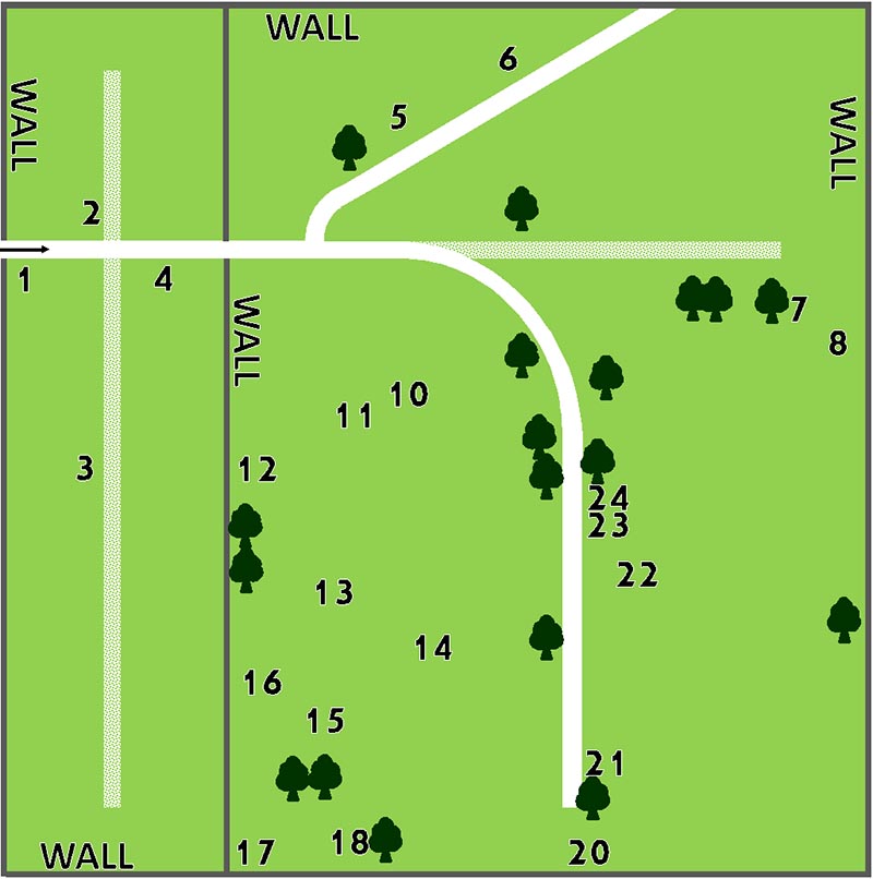 conwy_st_agnes_graves_map