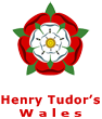 Tudor Rose logo