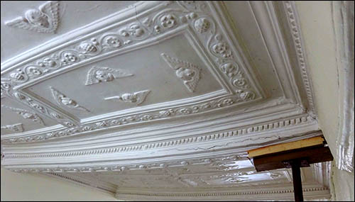 Photo of ornate ceiling in Gunter mansion