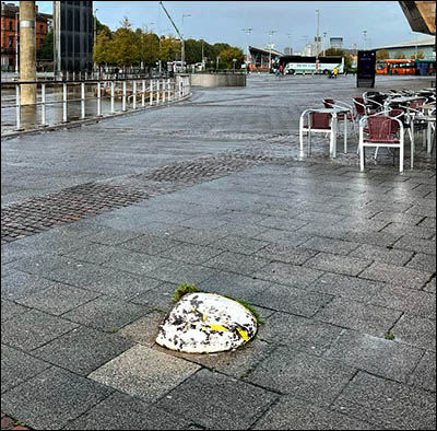 Photo of mooring-post crown protruding above ground in Cardiff Bay
