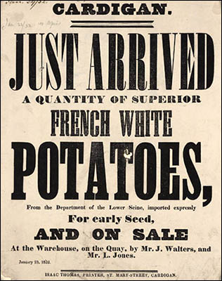 Poster advertising arrival of French potatoes in Cardigan in 1852