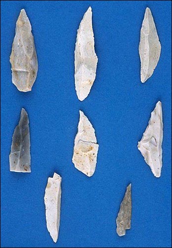 Photo of microliths found at Burry Holms gower_burry_holms_microliths