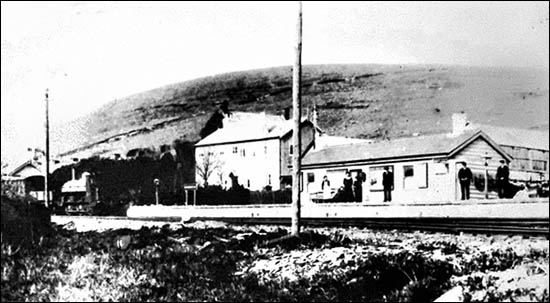Photo of the Prescelly Hotel and Rosebush station