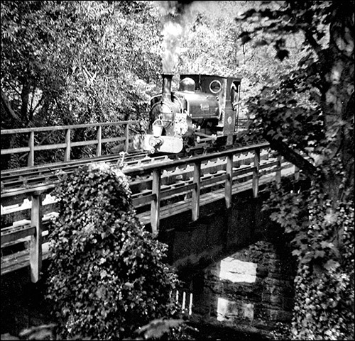 Photo of steam train on Cegin bridge