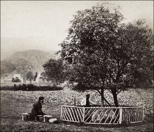 Photo of dog grave at Beddgelert c.1860