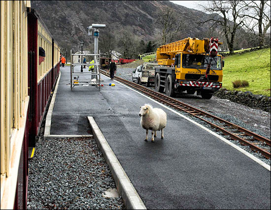 Photo of new Beddgelert station in 2008