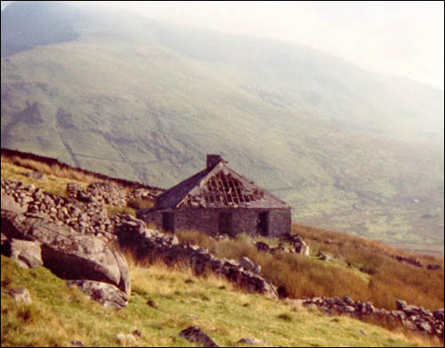 Photo of ruined Bryn Coch farm circa 1960s