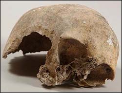 Photo of prehistoric skull