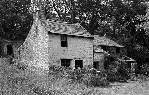 Photo of Hen Felin, Capelulo, in 1951