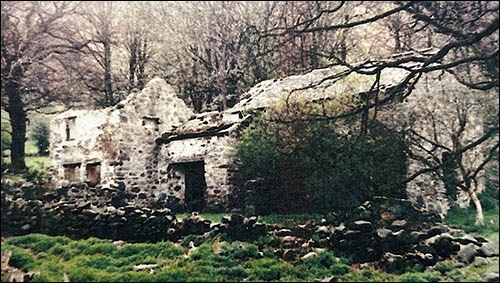 Photo of Hen Felin, Capelulo, as a ruin in 1982