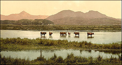 porthmadog_view_from_cob_1890s