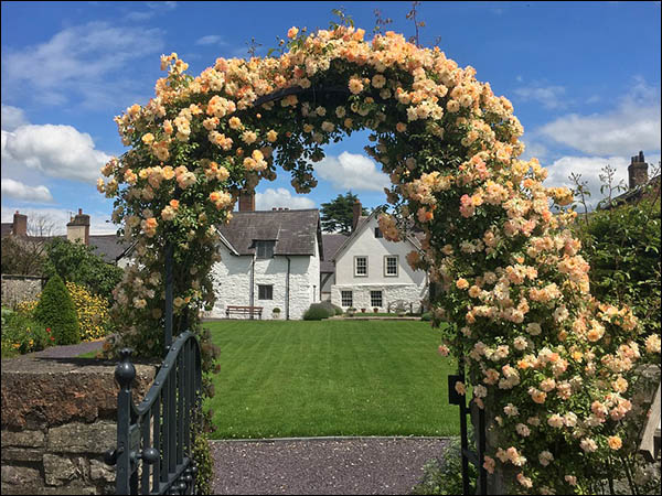PHoto of Nantclwyd y Dre gardens