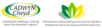Cadwyn Clwyd Logo