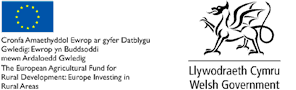 European and Welsh Government logo