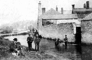 photo of sheep dipping in mill stream